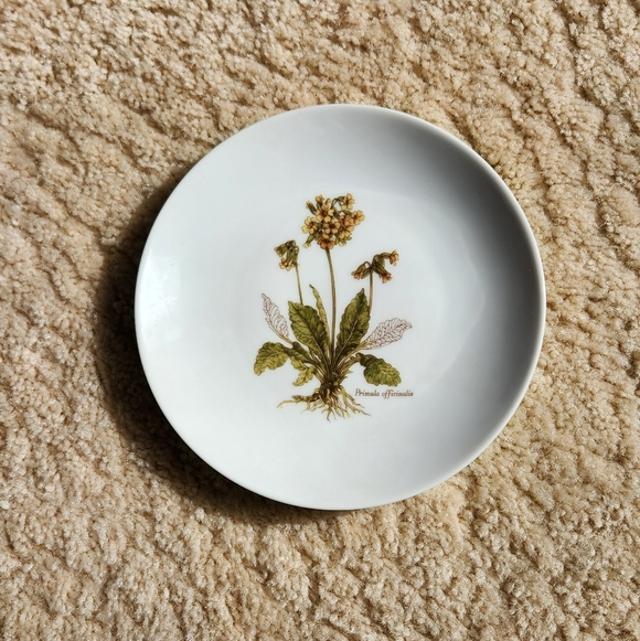 JKW Other - Vintage JKW Bavaria 1930 Western Germany Floral 7" Salad Plate